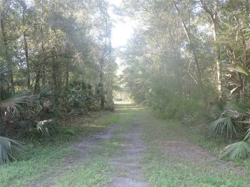 W County Road 2006 West W, FL