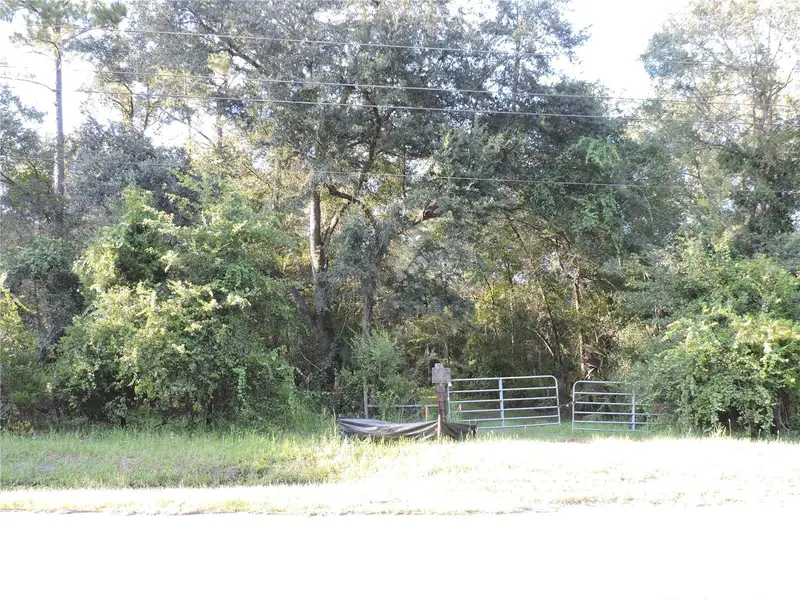 W County Road 2006 West W, FL