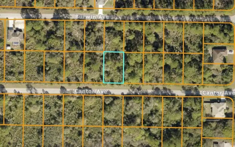 Cantor Ave, FL