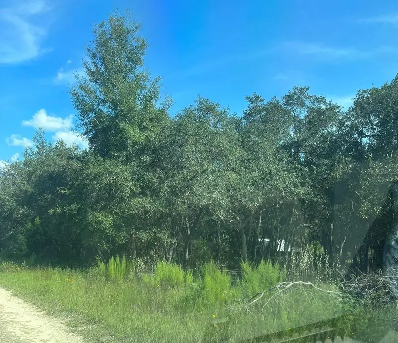 23-12-17 Oak Ridge Estates Blk 8 Lot 27, FL