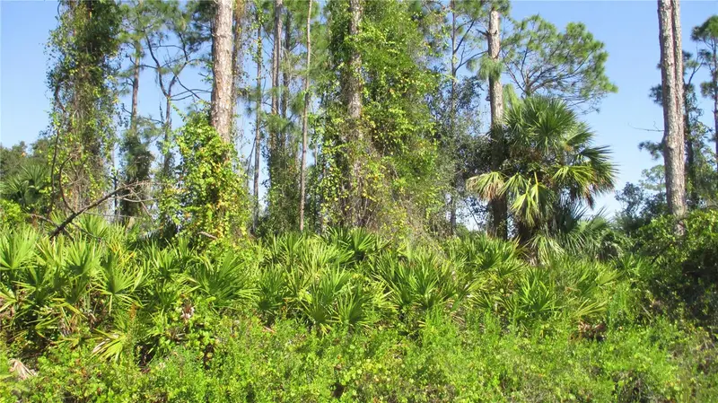 Ginsburg Ter, FL