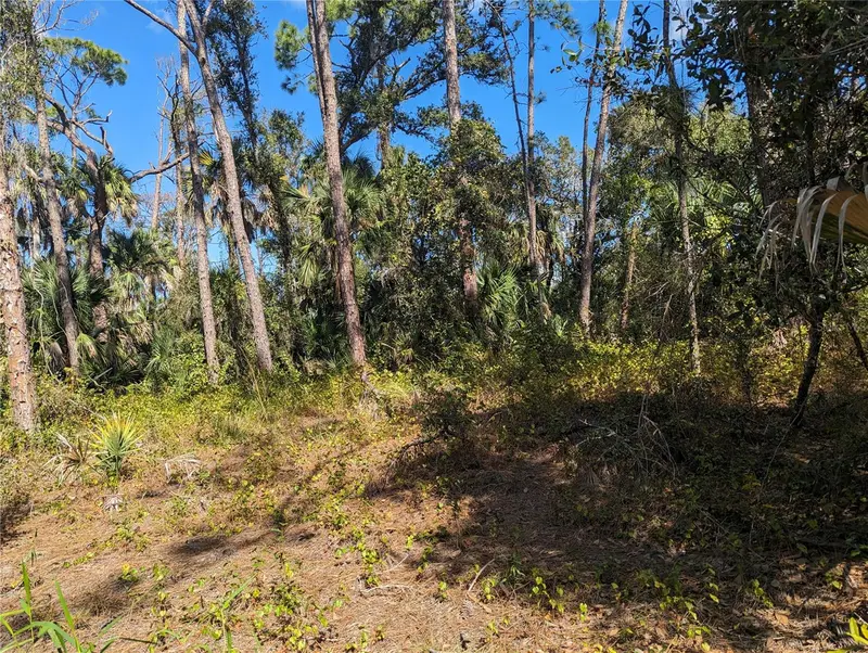 0 Apricola Rd #Lot 14, FL