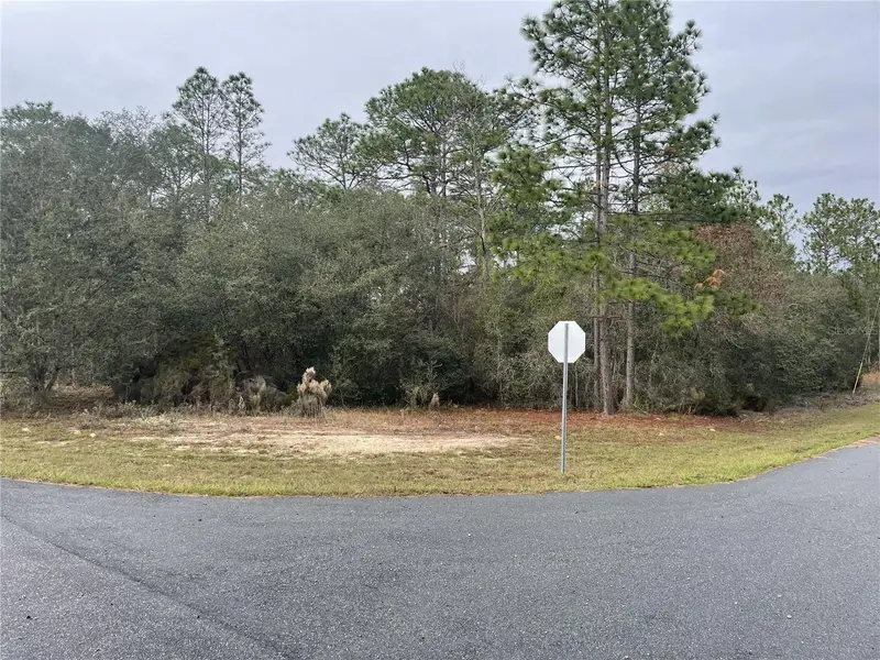 11290 N Kenney Loop, FL