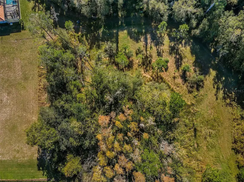 4445 Lansbrook Pkwy, FL