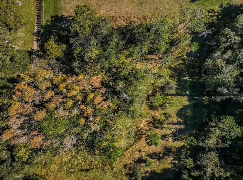 4445 Lansbrook Pkwy, FL