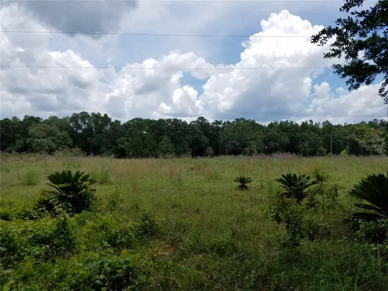 Sw County Road 242a, FL