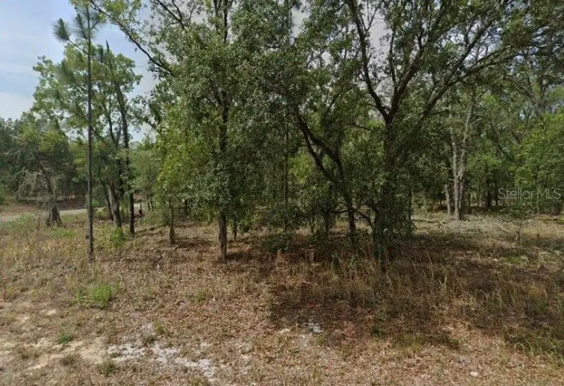 1592 W Swanson Dr, FL