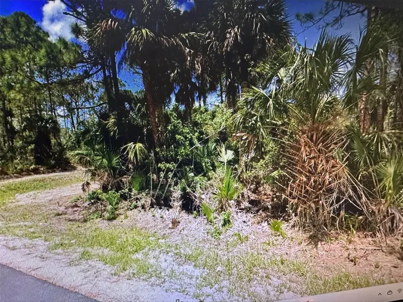 271 J T Sancho St Sw, FL