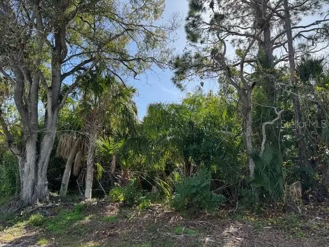Cedar Ave, FL