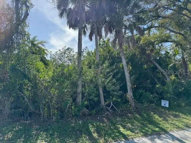 Gillespie St, FL