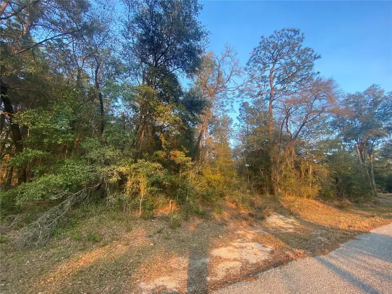 Lot 28 Sw 206 Cir, FL