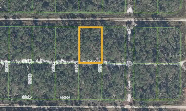 513 Nightingale Ave, FL