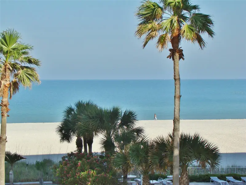 1380 Gulf Blvd #206, FL