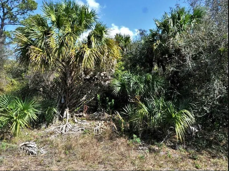 Norton Dr, FL