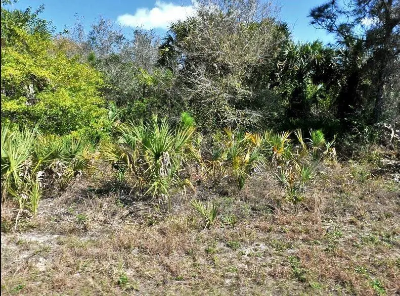 Norton Dr, FL