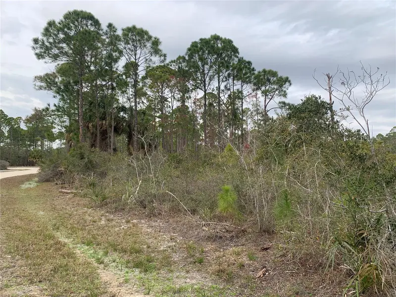 Cedar Key, Fl, FL