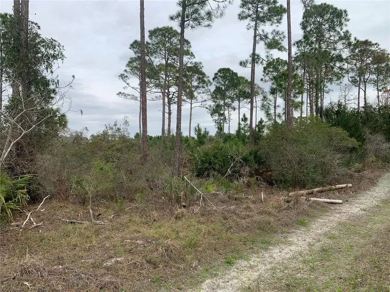 Cedar Key, Fl, FL