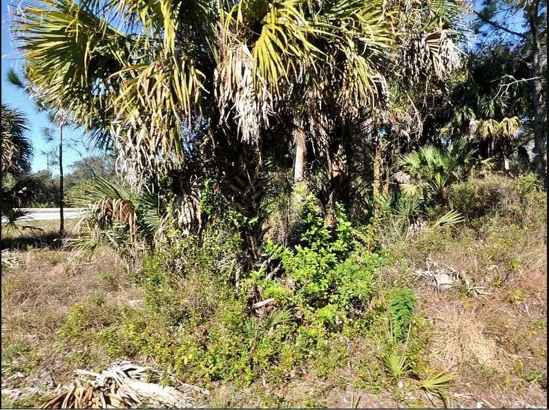 Kalish Ave, FL