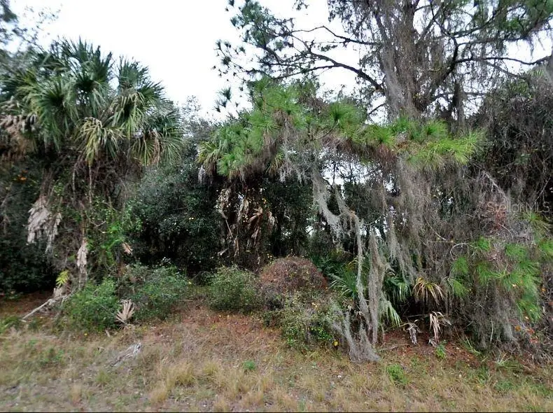Constitution Dr, FL