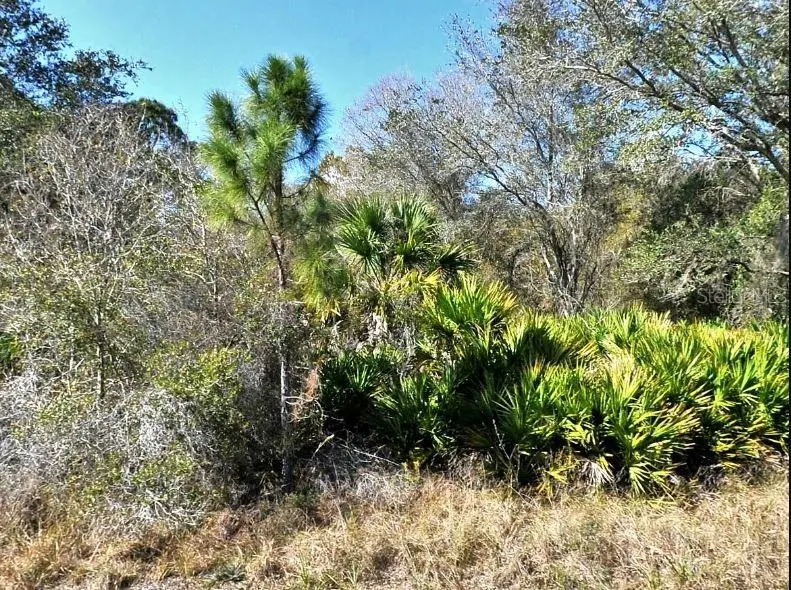 Norton Dr, FL