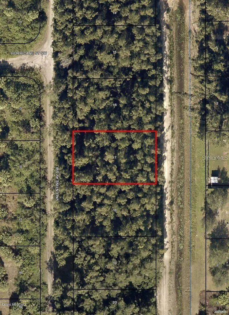 2637 Sw Valentine Ave, FL
