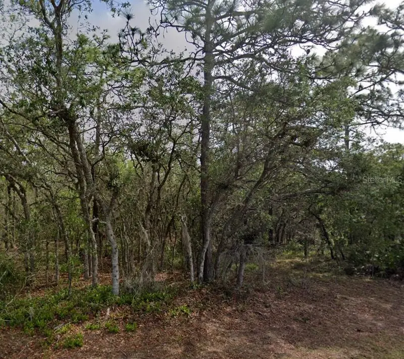 10 Milbark Dr, FL