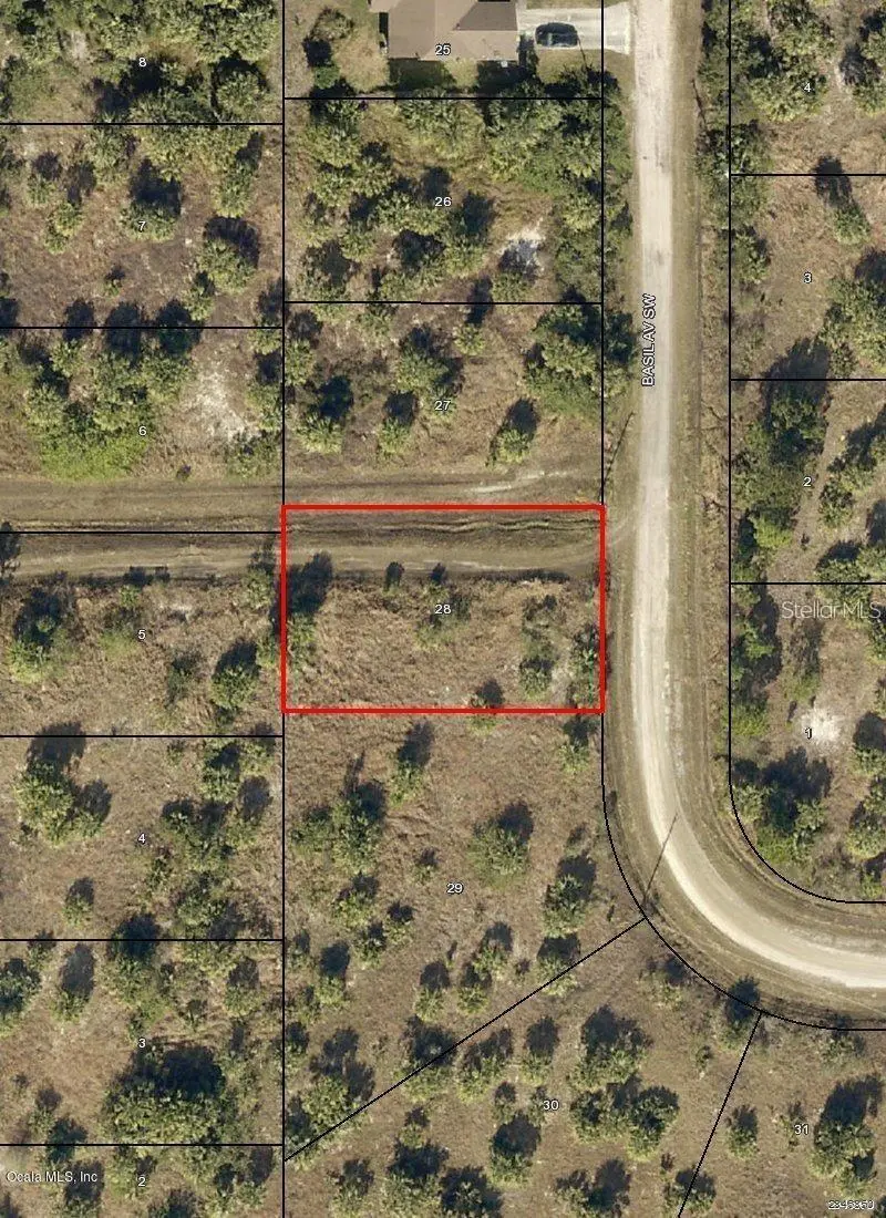 2886 Basil Ave Sw, FL