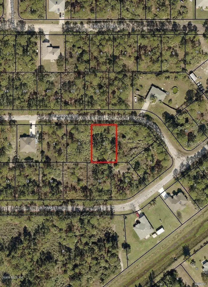256 Feldman St Se, FL