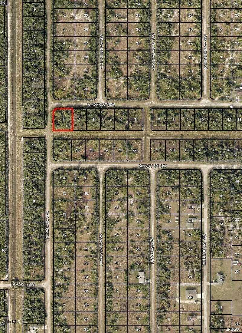 00 Novak St Sw, FL