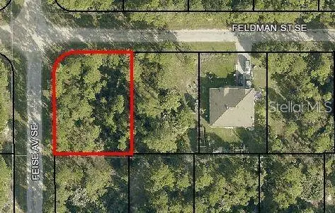 00 Feldman St Se, FL