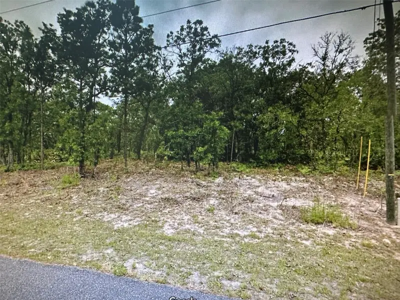 2466 W Swanson Dr, FL