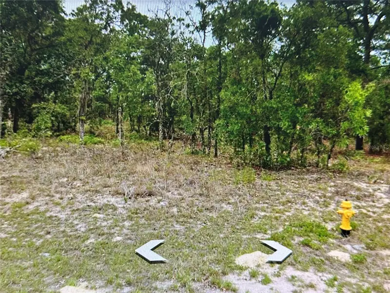 2466 W Swanson Dr, FL