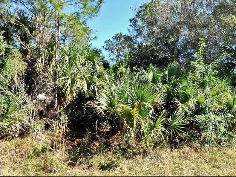 Annatto St, FL