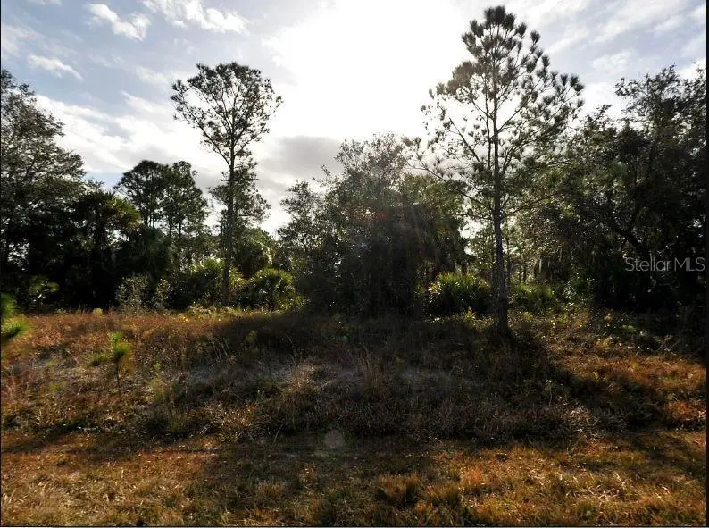 Marsden Ave, FL