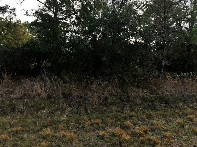 Mansfield Cir, FL