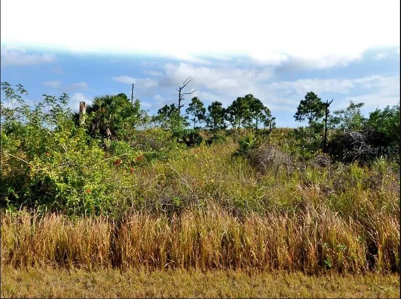 Mansfield Cir, FL