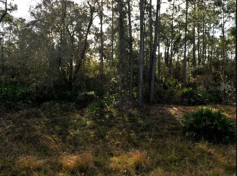 Lestock Ave, FL