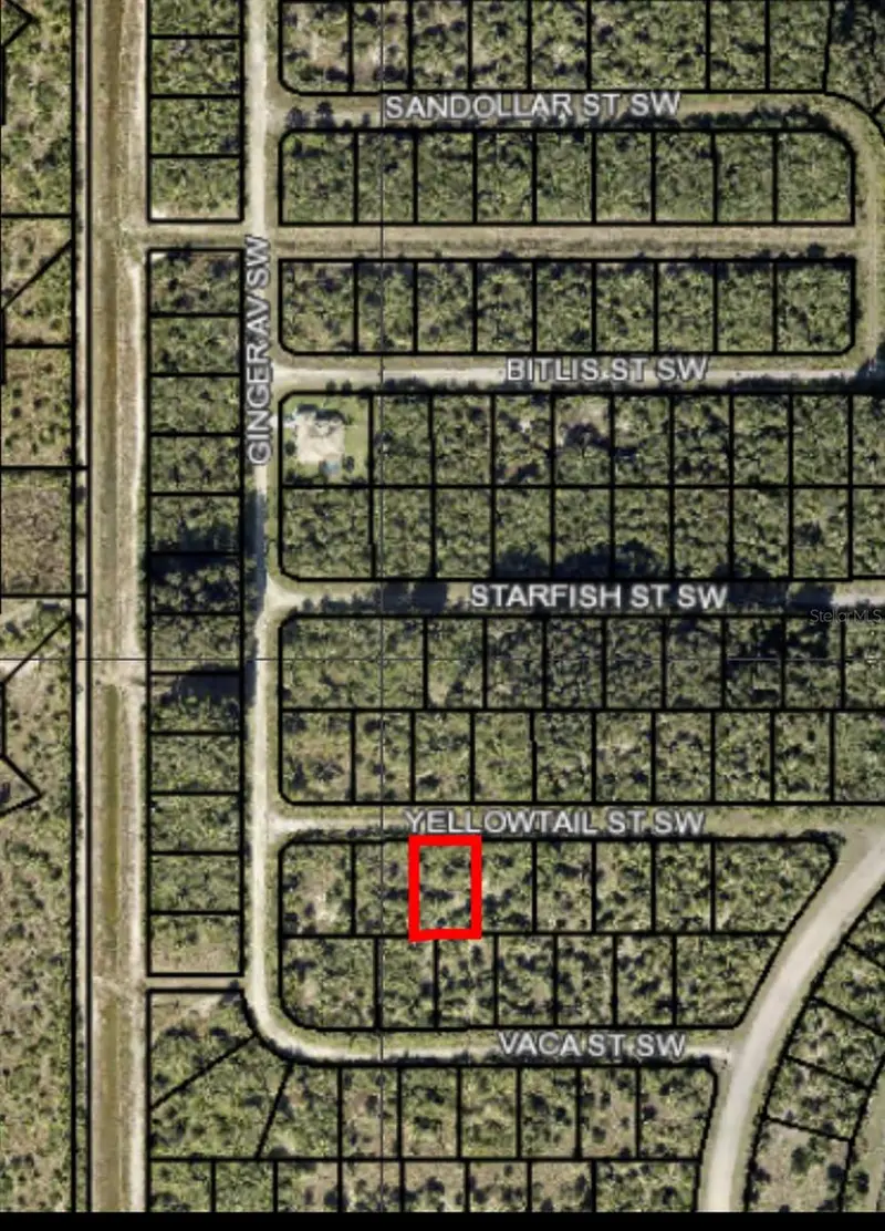 870 Yellowtail St Sw, FL
