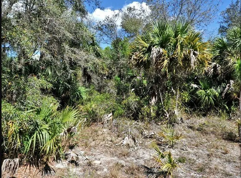 Dunmore St, FL