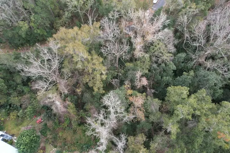3-12-2n-4w-1100-0000b-009 Station St, FL