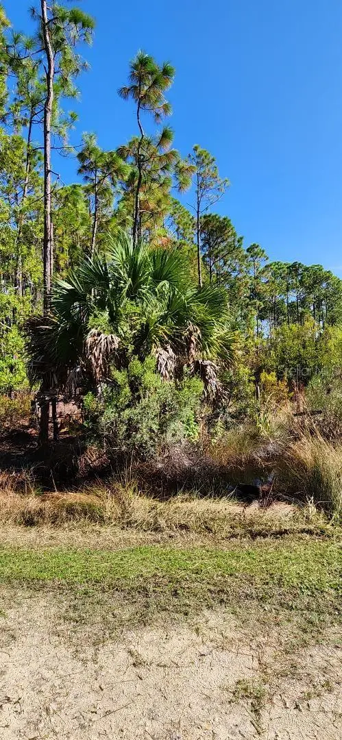 Lot 9 Sw 104 St, FL