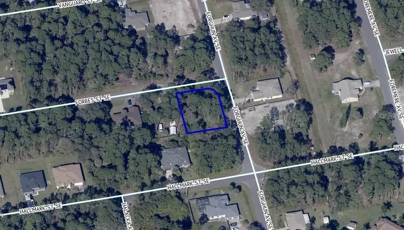 00 Forbes St Se, FL