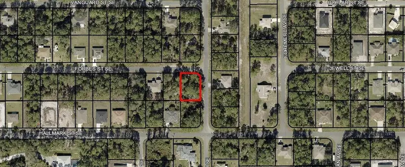 00 Forbes St Se, FL