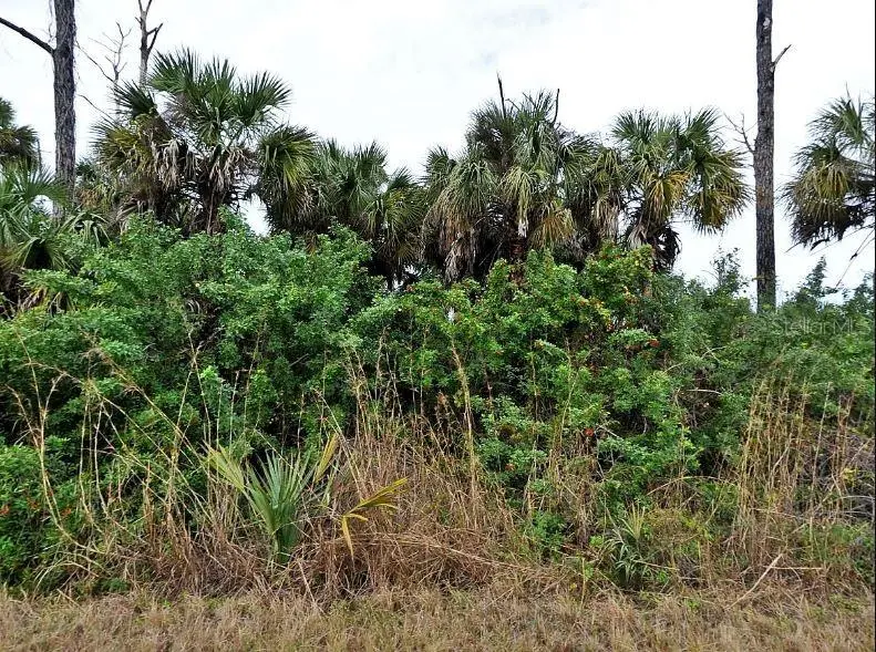 Silverleaf Rd, FL