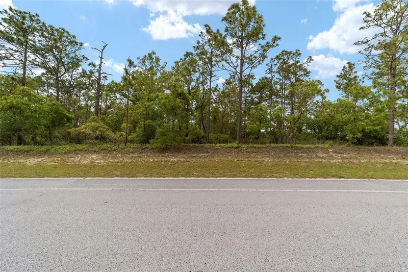 9200 N Citrus Springs Blvd, FL