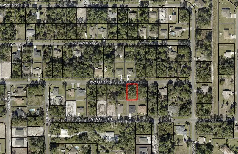436 Forbes St Se, FL