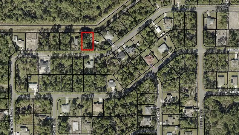 171 Dailey St Se, FL