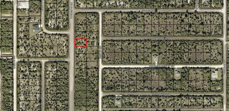 2919 Madden Ave Sw, FL