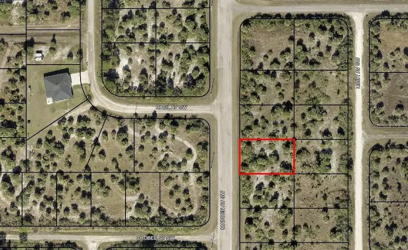 2919 Madden Ave Sw, FL