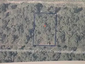 0 Calliandra Dr, FL